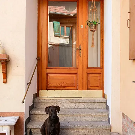 Chez Mamama, Cosy Sur La Route Des Vins Dambach